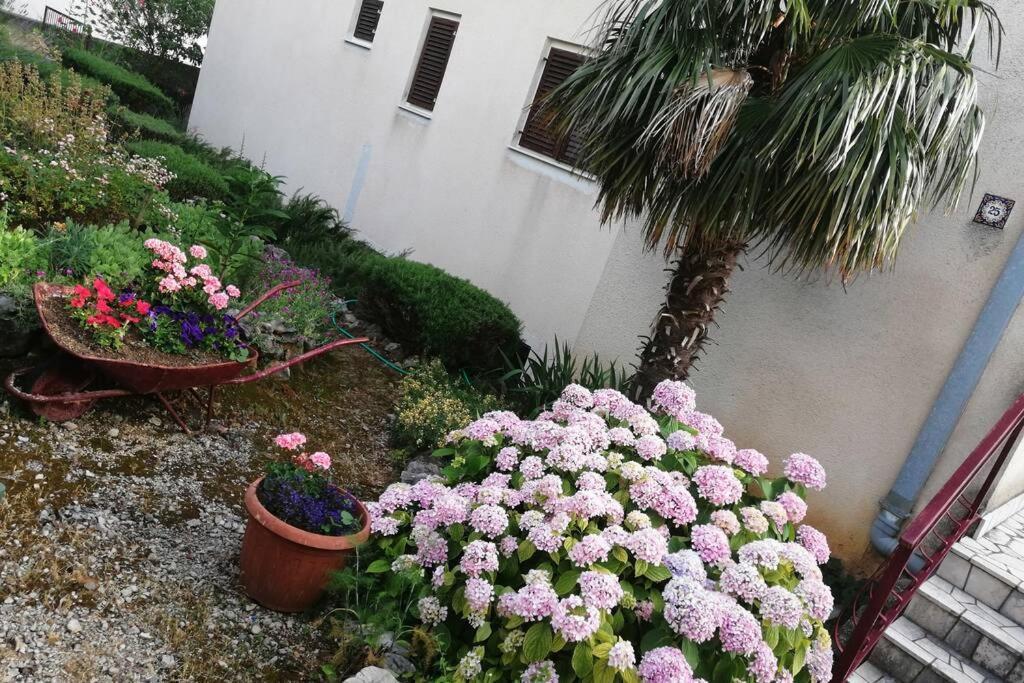 Spacious 2-Room Apartment With Beautiful Sea View ซริกเวนิซา ภายนอก รูปภาพ